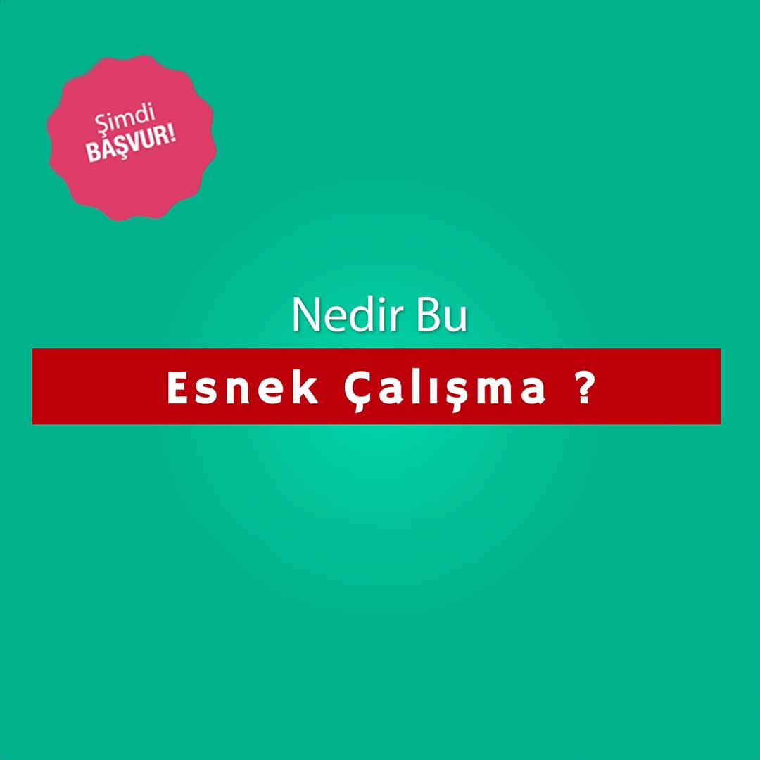 Nedir bu esnek çalışma?